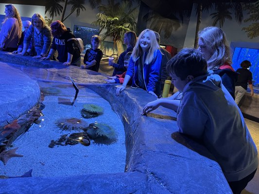 Newport Aquarium by null