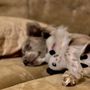 Photo of Circle B Veterinary Hospital