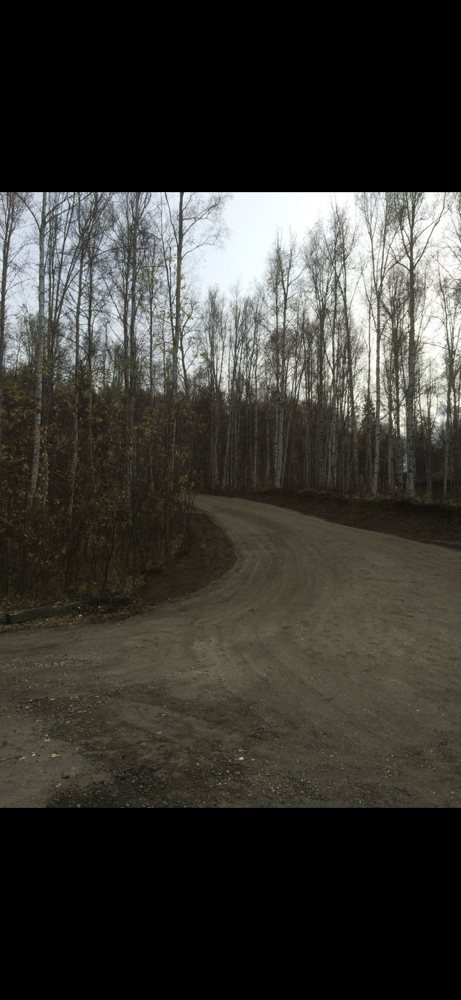 Slide of Chena Construction