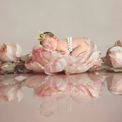 Photo Perfections - Newborn Portraits