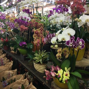 Flora Clay - Fabulous - Florists Near Me - Los Angeles, California Flora Clay - Fabulous - Florists Near Me - Los Angeles, California