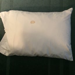 This pillow stayed on the floor during my stay. This pillow stayed on the floor during my stay.