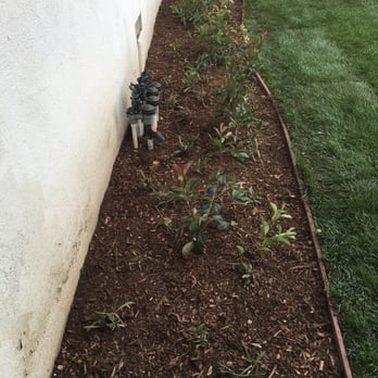 DW Landscape - Tree Services Near Me - Upland, California