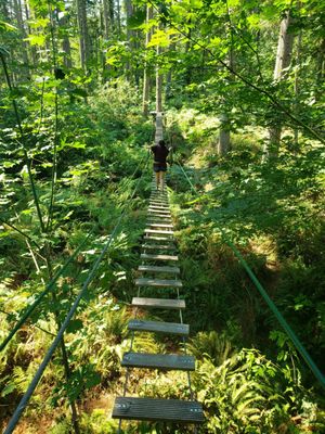 Northwest Trek Wildlife Park by null