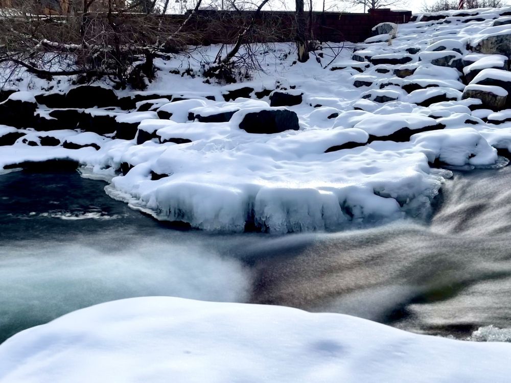 Social spots from Lions Park