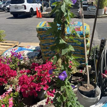 Anawalt Lumber - Nurseries & Gardening Near Me - Los Angeles, California Anawalt Lumber - Nurseries & Gardening Near Me - Los Angeles, California