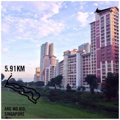 Bishan-Ang Mo Kio Park by null