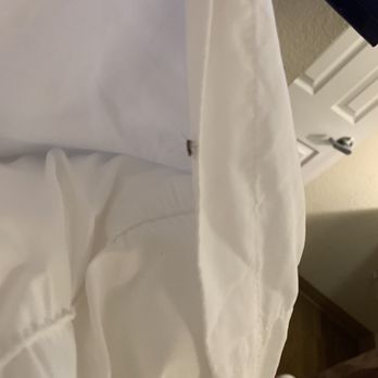 InTown Suites - Moved the pillow and found another roach. - Hotels Near Me - Montgomery, Alabama InTown Suites - Moved the pillow and found another roach. - Hotels Near Me - Montgomery, Alabama