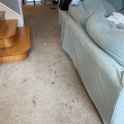 Sandbridge Blue Realty Services - Carpet when you first walk in