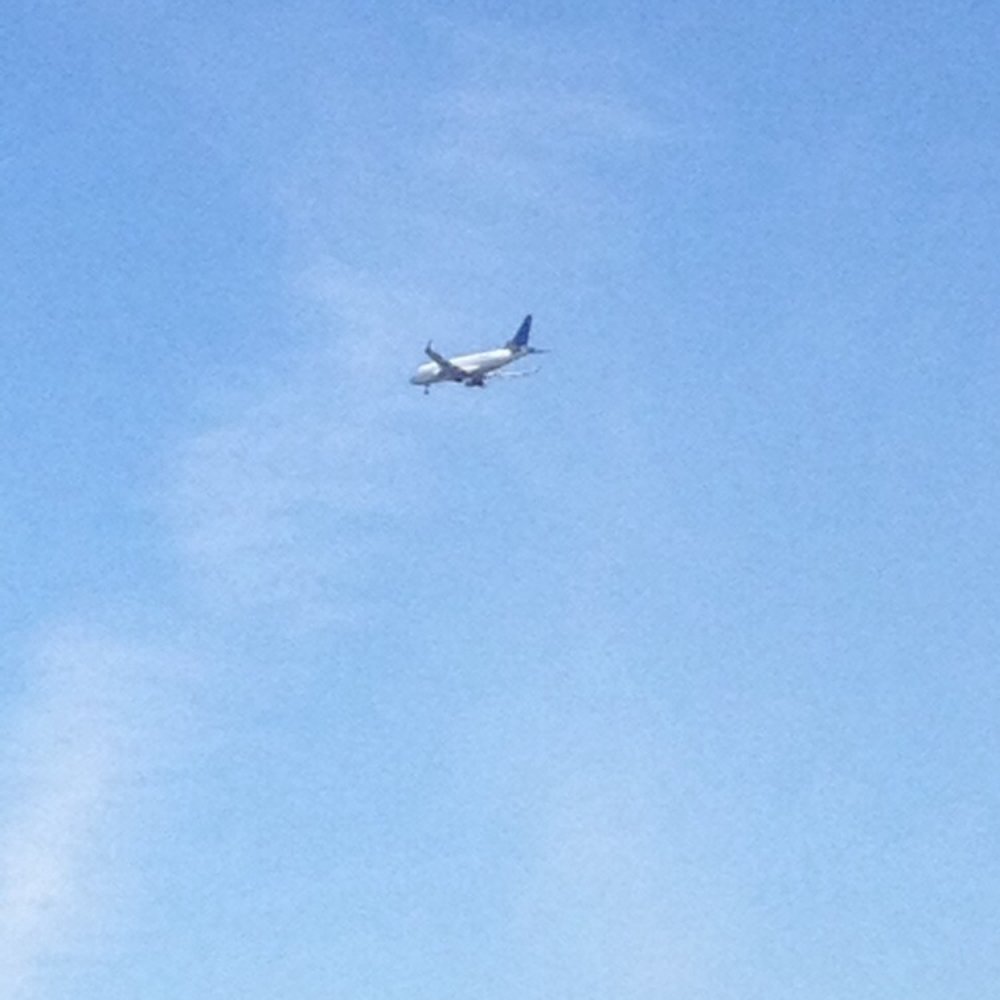 Waterfront Park - Planes flying into Reagan National fly right over. - Parks Near Me - Alexandria, Virginia