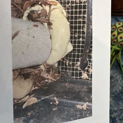 Pacific NW Pest Control