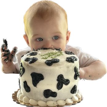 Heaven Scent Cupcakes - Baby Karters Heaven scent cow print smash cake ! - Cupcakes Near Me - Cartersville, Georgia Heaven Scent Cupcakes - Baby Karters Heaven scent cow print smash cake ! - Cupcakes Near Me - Cartersville, Georgia