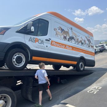 3DE Towing and Recovery - Towing Near Me - Madisonville, Tennessee 3DE Towing and Recovery - Towing Near Me - Madisonville, Tennessee