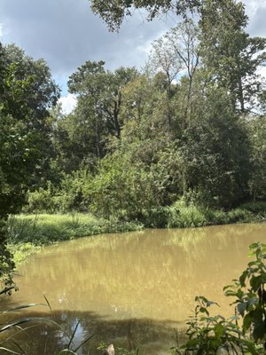 George Mitchell Nature Preserve by null