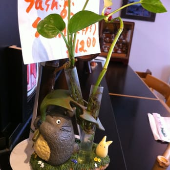 Sambi - How adorable, Totoro! - Japanese Near Me - Beaverton, Oregon Sambi - How adorable, Totoro! - Japanese Near Me - Beaverton, Oregon