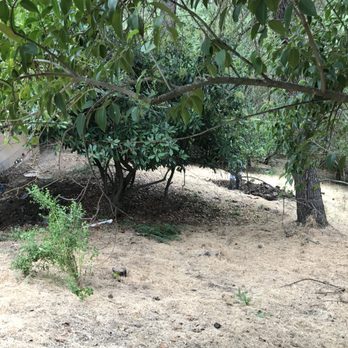 Bay Area Drainage, Inc - French drain and dissipation field - Plumbing Near Me - Moraga, California Bay Area Drainage, Inc - French drain and dissipation field - Plumbing Near Me - Moraga, California