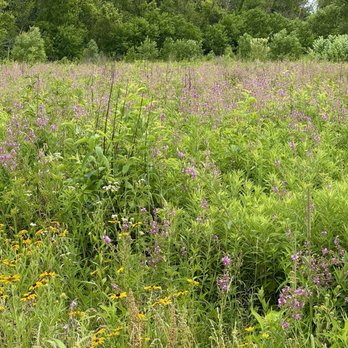 Dunham Woods Forest Preserve - Hiking Near Me - Wayne, Illinois