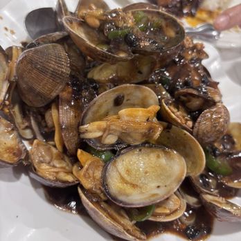 Golden Bull Restaurant - SF03. 豉汁炒蜆 / Baby Clams in Black Bean & Garlic Sauce - Seafood Near Me - Chicago, Illinois
