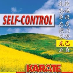Karate America Weston
