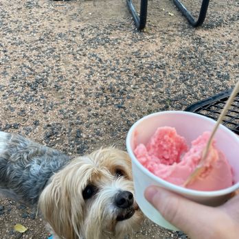 Merry Monarch Creamery - Ice Cream & Frozen Yogurt Near Me - Austin, Texas Merry Monarch Creamery - Ice Cream & Frozen Yogurt Near Me - Austin, Texas