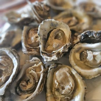 Rhinehart's Oyster Bar - Steamed Oysters! Yum! - Seafood Near Me - Augusta, Georgia Rhinehart's Oyster Bar - Steamed Oysters! Yum! - Seafood Near Me - Augusta, Georgia