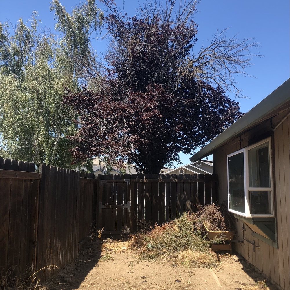Np Hauling & More - Before pic of side yard - Junk Removal & Hauling Near Me Np Hauling & More - Before pic of side yard - Junk Removal & Hauling Near Me