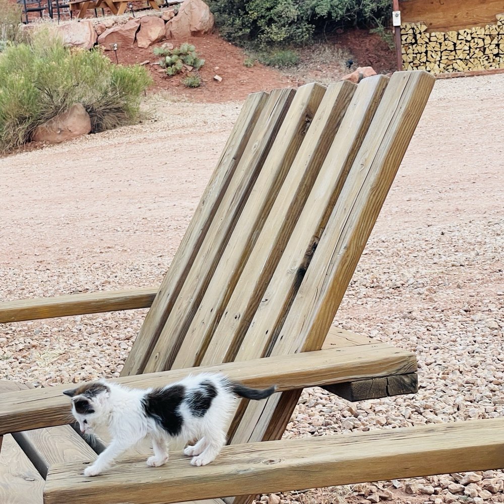 Zion Glamping Adventures - Resident host - Campgrounds Near Me - Hildale, Utah