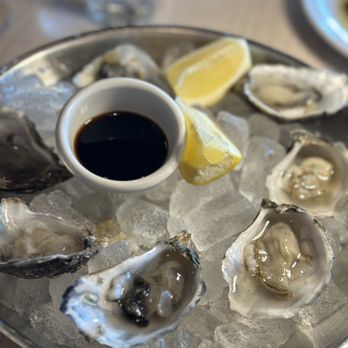 Garbatella - Oyster happy hour menu - Italian Near Me - Chula Vista, California Garbatella - Oyster happy hour menu - Italian Near Me - Chula Vista, California