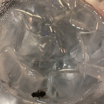 Boomer's Grill - Fly in my water from early June. - Sports Bars Near Me - Murphy, Texas Boomer's Grill - Fly in my water from early June. - Sports Bars Near Me - Murphy, Texas