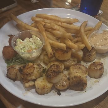 Iguanas - Scallops - Seafood Near Me - St. Simons, Georgia