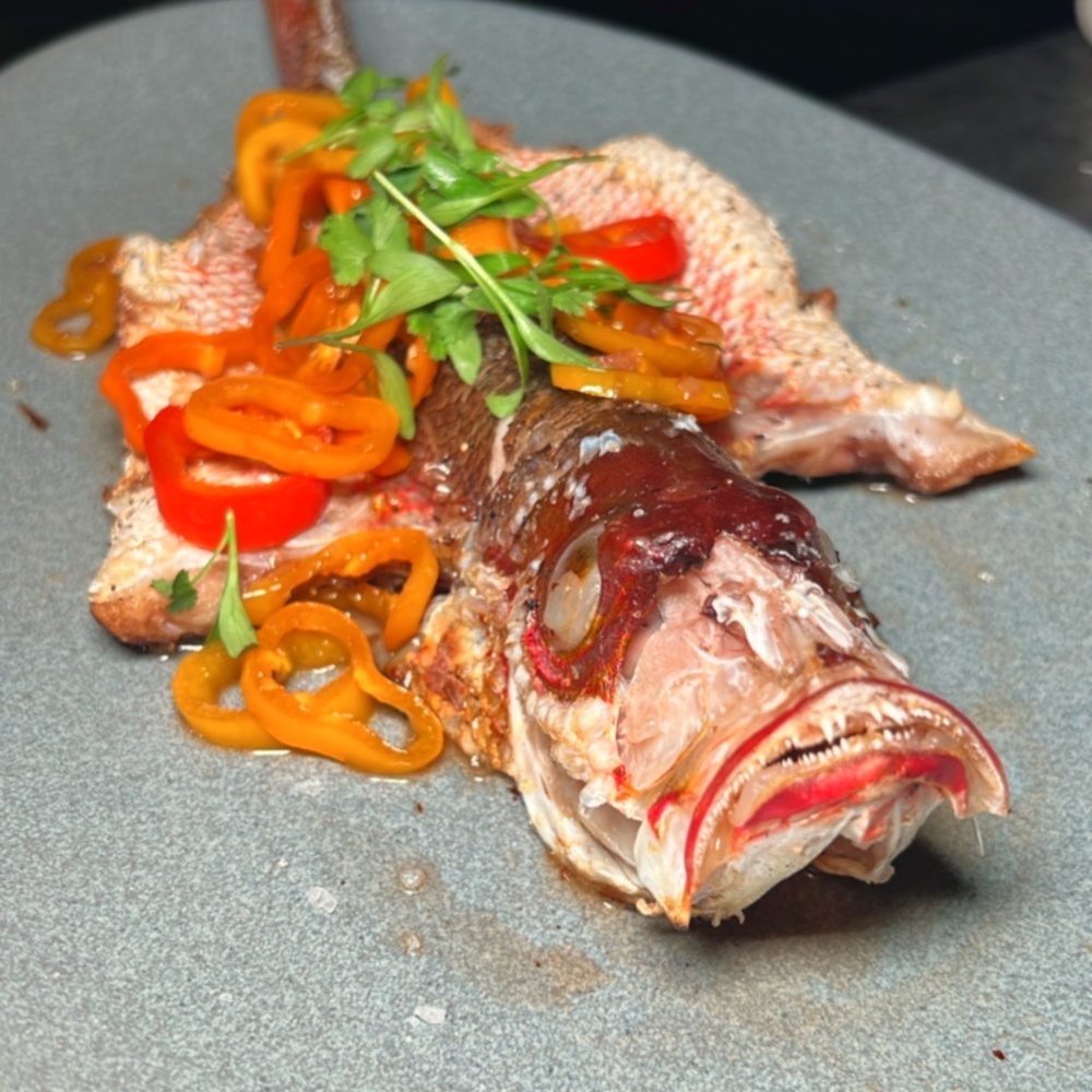 Casa De Lobo - Tapas/Small Plates Near Me - Jersey City, New Jersey