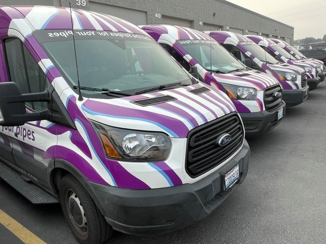 Slide of Plumb Zebra