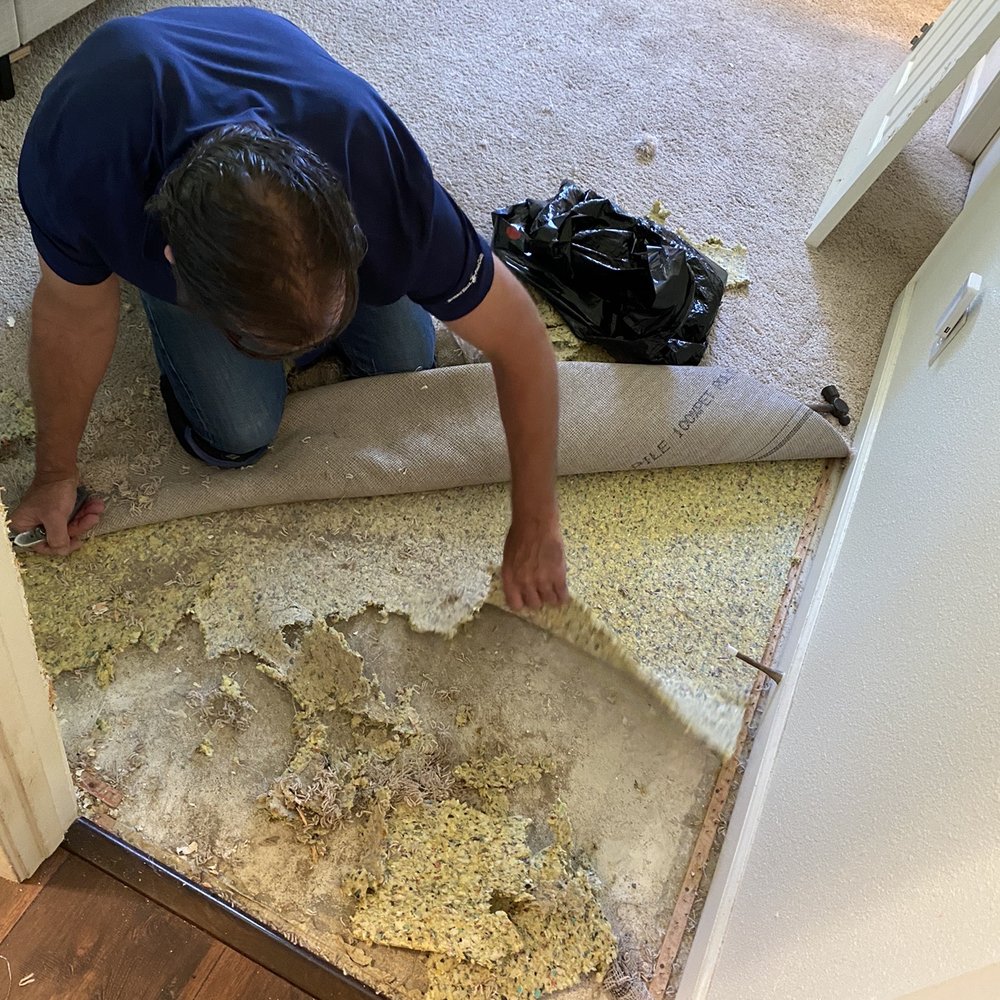 Michael's Carpet Care - Here's Mike in action! - Carpet Cleaning Near Me - Citrus Heights, California