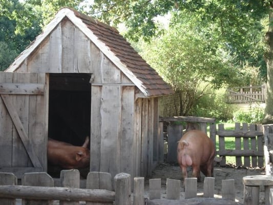 Mary Arden's Farm by null
