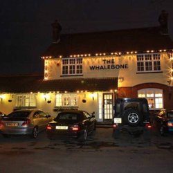 Whalebone