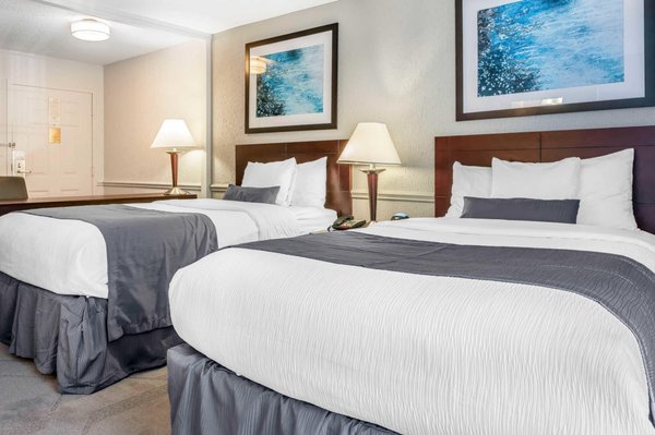 The Blu Hotel, Blue Ash - Cincinnati by null