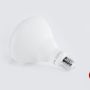Photo of Led King