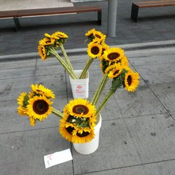 Hyde Park Farmers Market