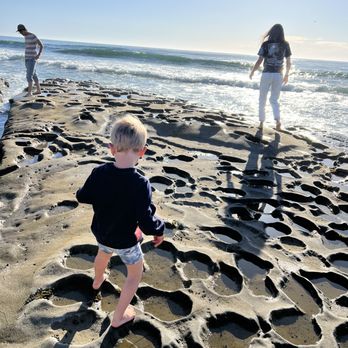 La Jolla Tide Pools - Tide pools - Beaches Near Me - La Jolla, California La Jolla Tide Pools - Tide pools - Beaches Near Me - La Jolla, California