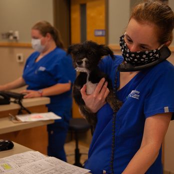 Complete Pet Care - Pet Sitting Near Me - Wake Forest, North Carolina