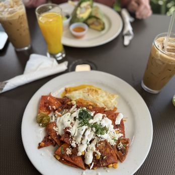 iJava Cafe - Chilaquiles Breakfast - Breakfast & Brunch Near Me - San Jose, California iJava Cafe - Chilaquiles Breakfast - Breakfast & Brunch Near Me - San Jose, California