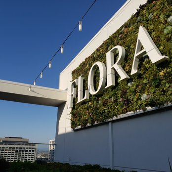 Flora Rooftop Bar - Cool sign - Lounges Near Me - El Segundo, California Flora Rooftop Bar - Cool sign - Lounges Near Me - El Segundo, California