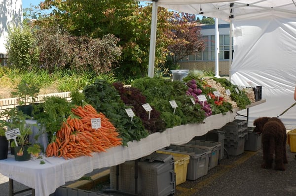 Magnolia Farmers Market by null