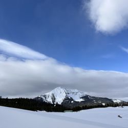Spirit of the North Sled Dog Adventures
