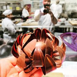 SAN DIEGO CULINARY INSTITUTE - CLOSED - 105 Photos & 12 Reviews