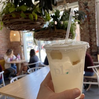Plant - The gingerade- so refreshing! - Juice Bars & Smoothies Near Me - Oklahoma City, Oklahoma Plant - The gingerade- so refreshing! - Juice Bars & Smoothies Near Me - Oklahoma City, Oklahoma