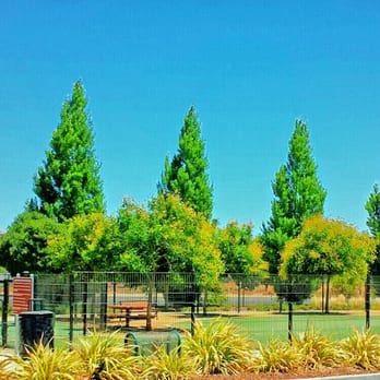 Raleigh Linear Green Park - Dog Park - Basketball Courts Near Me - San Jose, California Raleigh Linear Green Park - Dog Park - Basketball Courts Near Me - San Jose, California