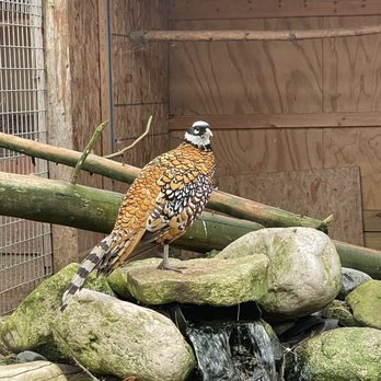 Garlyn Zoo - Zoos Near Me - Naubinway, Michigan Garlyn Zoo - Zoos Near Me - Naubinway, Michigan