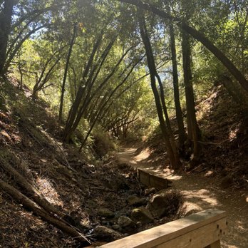 Rancho San Antonio Preserve - Parks Near Me - Los Altos, California Rancho San Antonio Preserve - Parks Near Me - Los Altos, California