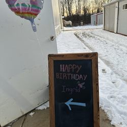 Karin's Horse Connection - Birthday party!
